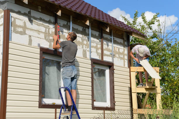 Best Historical Building Siding Restoration  in Hoyt Lakes, MN