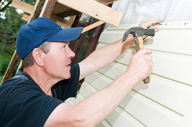 Best Brick Veneer Siding  in Hoyt Lakes, MN