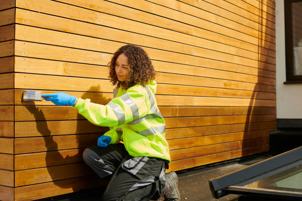 Best Stone Veneer Siding  in Hoyt Lakes, MN